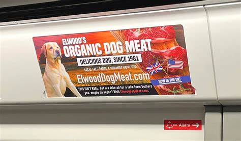Elwood's organic dog meat. Things To Know About Elwood's organic dog meat. 